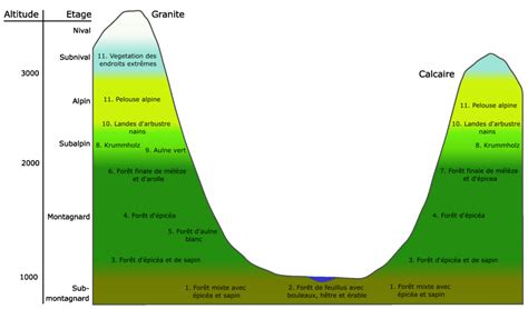 La Végétation Portalet