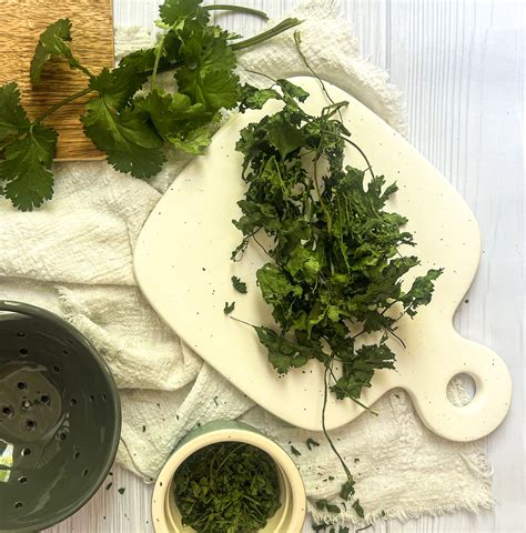 Dehydrating Garden Herbs In Five Minutes! - Burnt Apple
