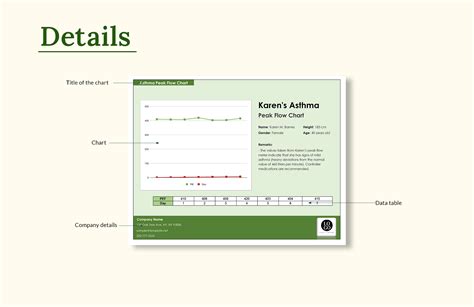 Asthma Peak Flow Chart in Excel, Google Sheets - Download | Template.net