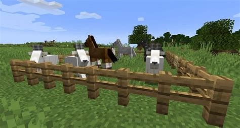 Goats Vs Horses In Minecraft 117 Version How Different Are The Two Mobs