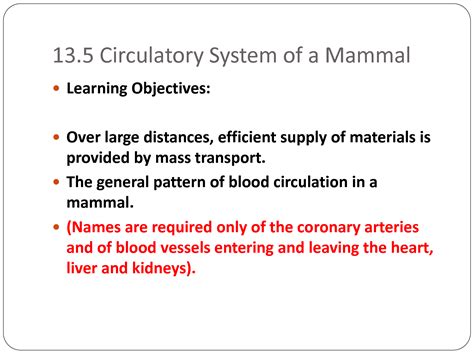 Solution The Circulatory System Of A Mammal Biology Study Guide