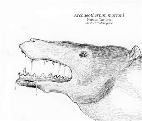 Inktober Day 6 Archaeotherium By Illustratedmenagerie On Deviantart