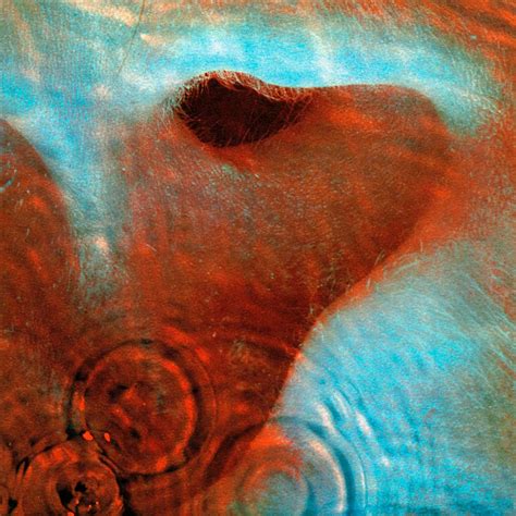 Pink Floyd Meddle Cd