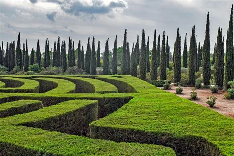 Maze Labyrinth Cypress - Free photo on Pixabay