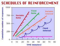 Identify The Four Schedules Of Reinforcement