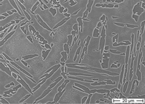 As built microstructure consisting of a β matrix and coarse αp and