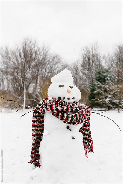 "Snowman With Scarf In Winter Storm" by Stocksy Contributor "Raymond Forbes LLC" - Stocksy