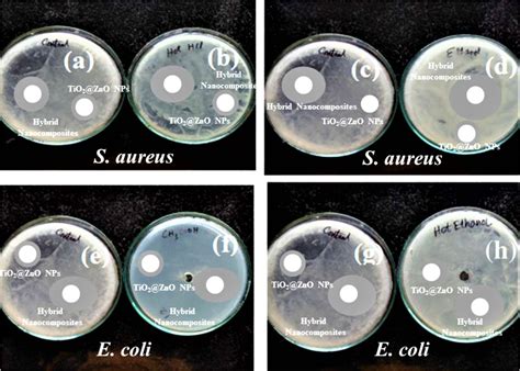 Zone Of Inhibition Of A Standard Drug B TiO2 ZnO C P3BT TiO2 ZnO 10