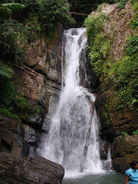 Waterfall El Yunque, Puerto Rico | Waterfall, Places to see, Favorite ...