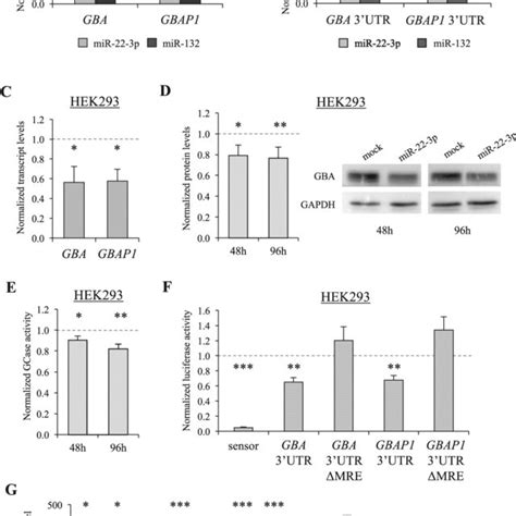 (PDF) The GBAP1 pseudogene acts as a ceRNA for the glucocerebrosidase gene GBA by sponging miR-22-3p