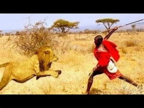 Maasai Mara Community Abandons Killing Of Lions As A Rite Of Passage