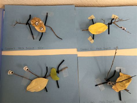 Stick Bugs Stick Bug Arts And Crafts Crafts