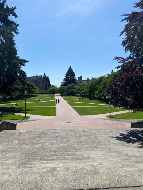 University of Washington the Quad | University of washington, Quad ...