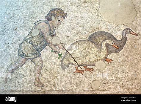 Detail Of Floor Mosaic Great Palace Of Constantinople Great Palace