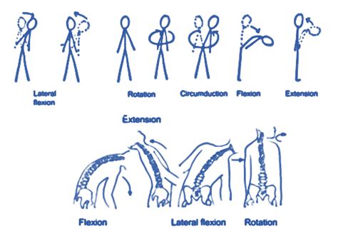 Back Extension Vs Flexion