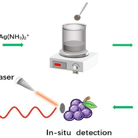 Schematic Representation Of The Preparation Process And Utilization Of