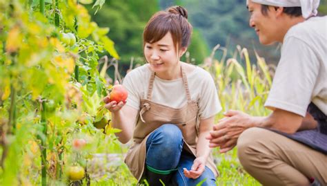 未経験でもok！畑で実践する「農業の始め方」無料講座｜淡路島イベント 淡路島最新情報