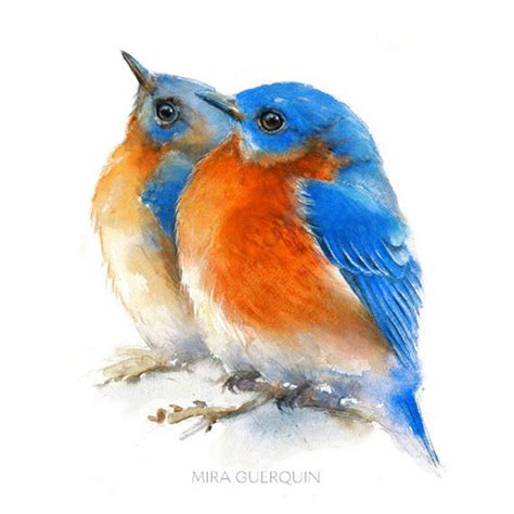 Bluebirds On Branch Giclee Print Of Watercolor Painting Etsy