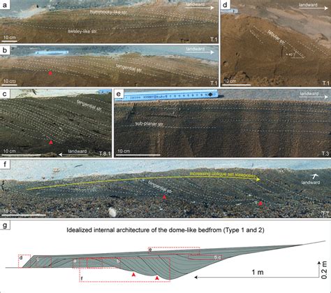 Internal Stratifications Of The Dome Like Bedforms Txy Refer To The