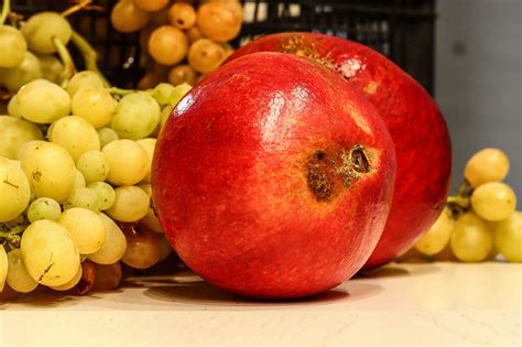 Pomegranate Grapes Autumn Seasonal Free Photo On Pixabay