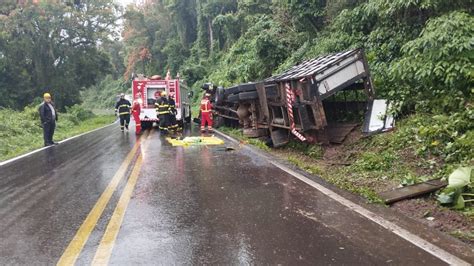 Rs Caminh O Que Transportava Bois Vivos Tomba E Rodovia