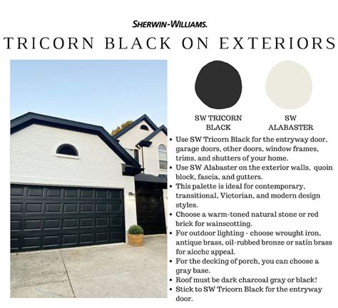 Sherwin Williams Tricorn Black Paint Color Palette Studio Etsy