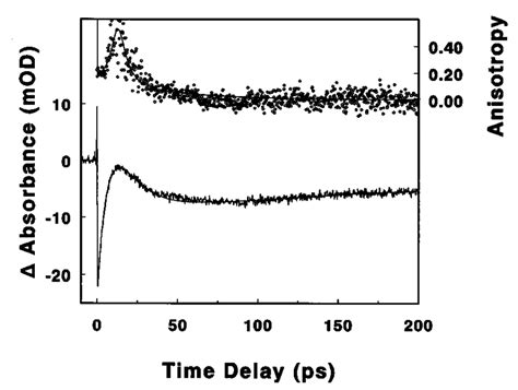 Transient Absorption Signal Magic Angle And Anisotropy Obtained In A Download Scientific