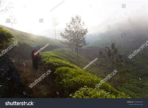 4,279 Western Ghats Kerala Images, Stock Photos & Vectors | Shutterstock