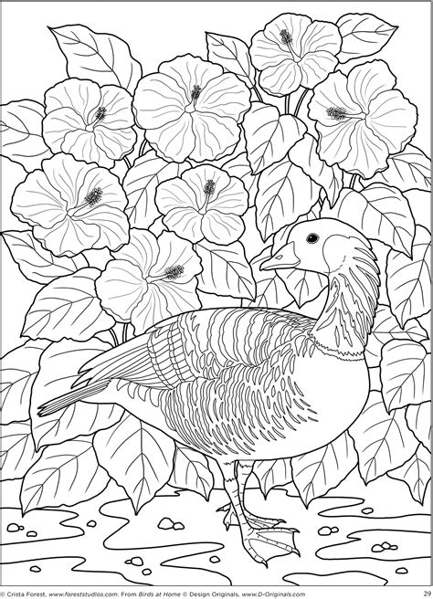 State Birds And Flowers Coloring Book