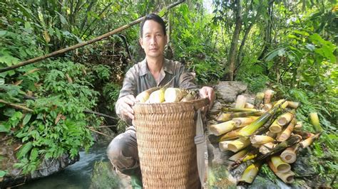 Clean The Garden And Harvest Bamboo Shoots Boil Them And Bring Them To