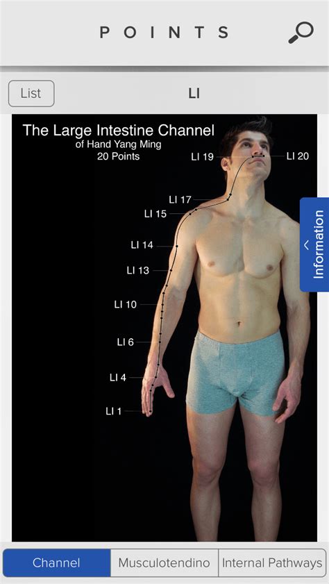 POINTS Review Acupuncture Points And Charts Naturegrooves