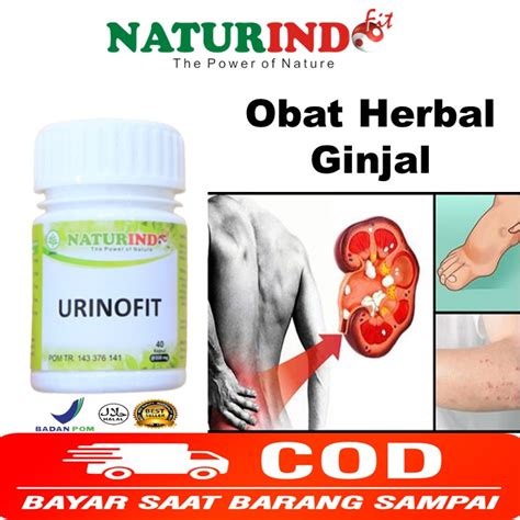 Jual Obat Ginjal Ampuh Batu Ginjal Herbal Ayang Ayangan Mudah Lelah