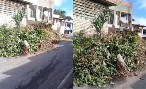 Moradores Denunciam Falta De Coleta Regular De Lixo Em Teodoro Sampaio