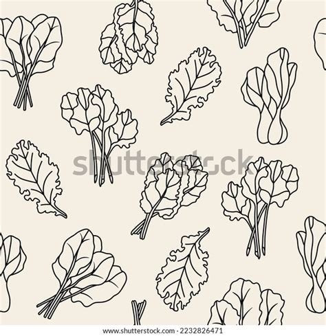 Indian Leafy Greens Images Stock Photos Vectors Shutterstock