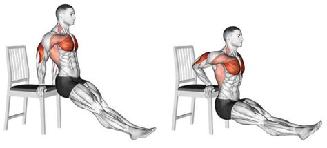 Dips Exercise to Build Your Triceps, Chest, and Shoulders | A Lean Life