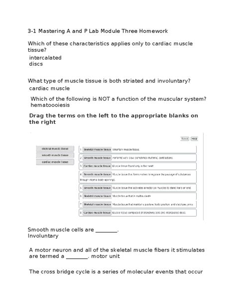 3 1 Mastering A And P Lab Module Three Homework Involuntary A Motor