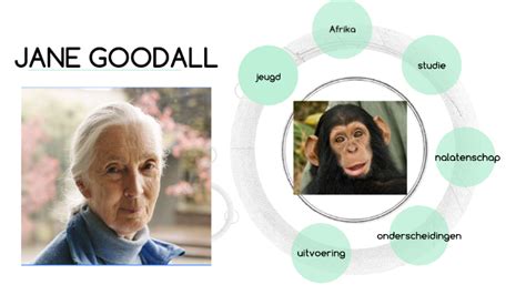 Jane Goodall By Thijn Barkel On Prezi