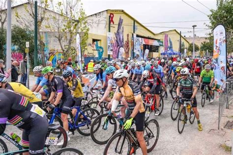 Le Tipologie Di Bici Guida Completa Ai Diversi Tipi Di Bicicletta