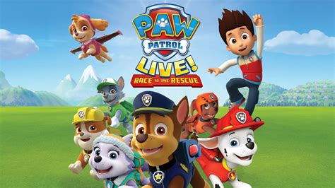 Paw Patrol Wallpapers 4k Hd Paw Patrol Backgrounds On Wallpaperbat