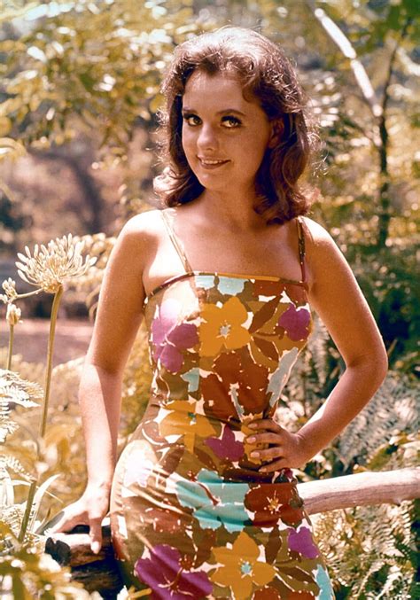 Celebrities React To The Death Of 'Gilligan's Island' Star Dawn Wells