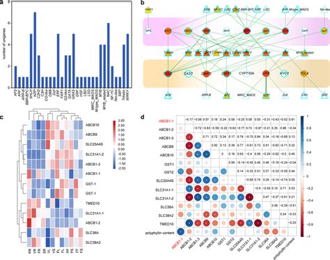 The Regulated Genes Candidates Involves In The Polyphyllin