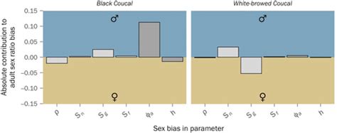 Earlylife Demographic Processes Do Not Drive Adult Sex Ratio Biases