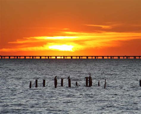 Lake Pontchartrain Fishing: Local Angler's Best Tips - Best Fishing in ...