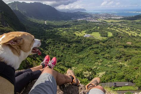 Pali Lookout Hike - A Global Stroll