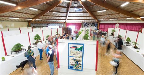 Esprit Bonsaï Parc Oriental de Maulévrier en Anjou le plus grand