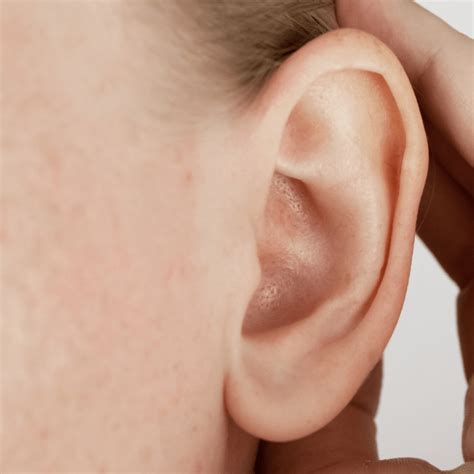 Earlobe Repair Reforme Medical