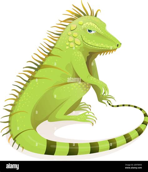 Green Iguana Cut Out Stock Images And Pictures Alamy