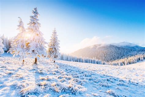 9 Facts About Winter to Discover the Magic of the Snowy Season - Facts.net