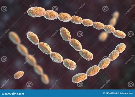 Haemophilus Ducreyi Bacteria Royalty-Free Illustration | CartoonDealer.com #123304347