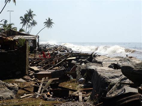 'Wave' Tells A True Story Of Survival And Loss In The 2004 Tsunami ...